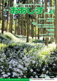 vol.41 2017年6月の画像